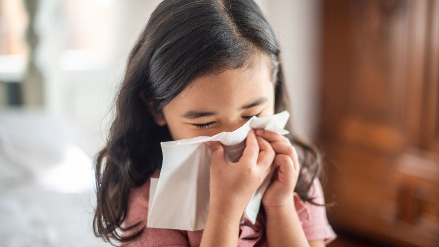 Seasonal vs Perennial Allergic Rhinitis: Key Differences